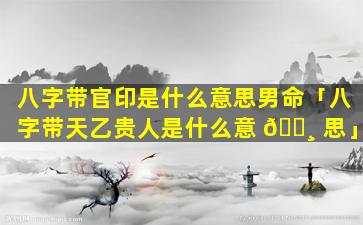 八字带官印是什么意思男命「八字带天乙贵人是什么意 🕸 思」